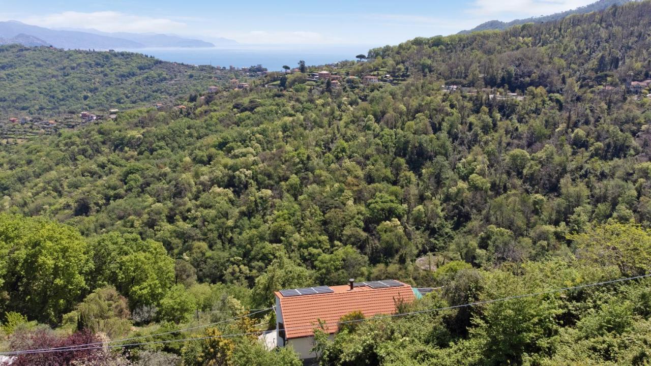 Ferienwohnung Fattorialmare Blu Camogli Exterior foto