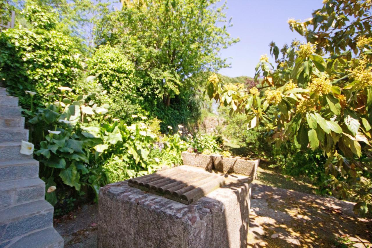 Ferienwohnung Fattorialmare Blu Camogli Exterior foto